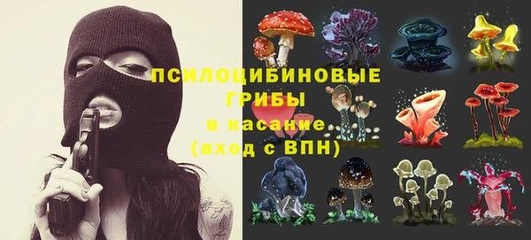 прущие крисы Алексин