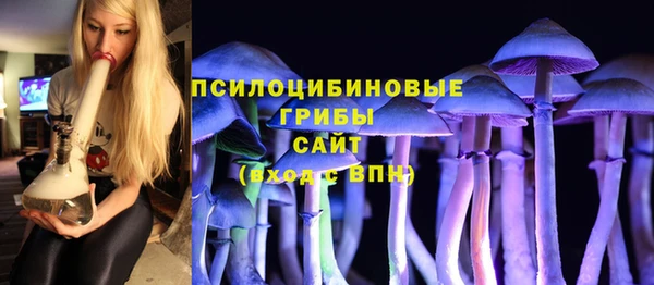 прущая мука Алзамай